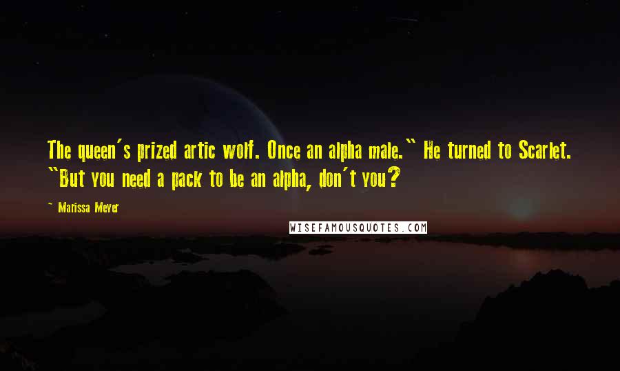 Marissa Meyer Quotes: The queen's prized artic wolf. Once an alpha male." He turned to Scarlet. "But you need a pack to be an alpha, don't you?