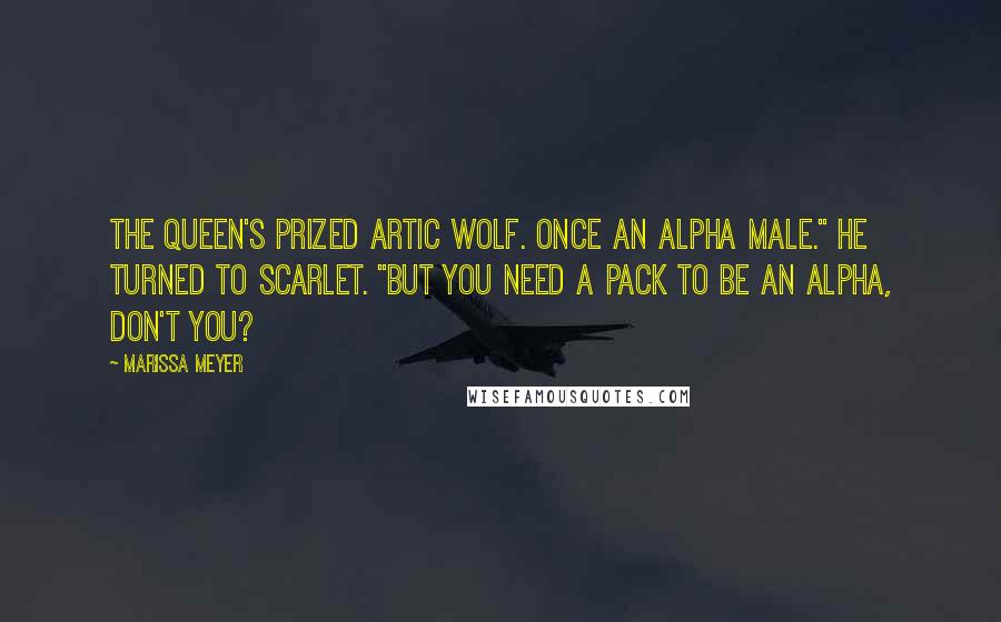 Marissa Meyer Quotes: The queen's prized artic wolf. Once an alpha male." He turned to Scarlet. "But you need a pack to be an alpha, don't you?