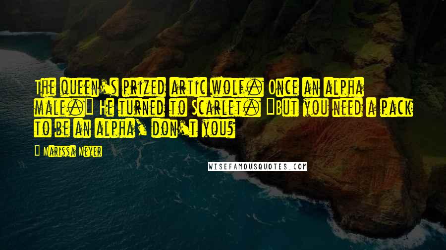 Marissa Meyer Quotes: The queen's prized artic wolf. Once an alpha male." He turned to Scarlet. "But you need a pack to be an alpha, don't you?