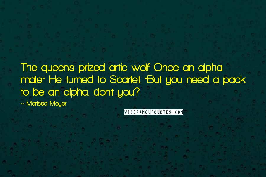 Marissa Meyer Quotes: The queen's prized artic wolf. Once an alpha male." He turned to Scarlet. "But you need a pack to be an alpha, don't you?