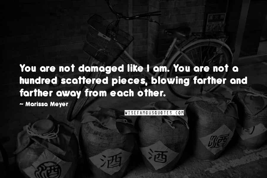 Marissa Meyer Quotes: You are not damaged like I am. You are not a hundred scattered pieces, blowing farther and farther away from each other.