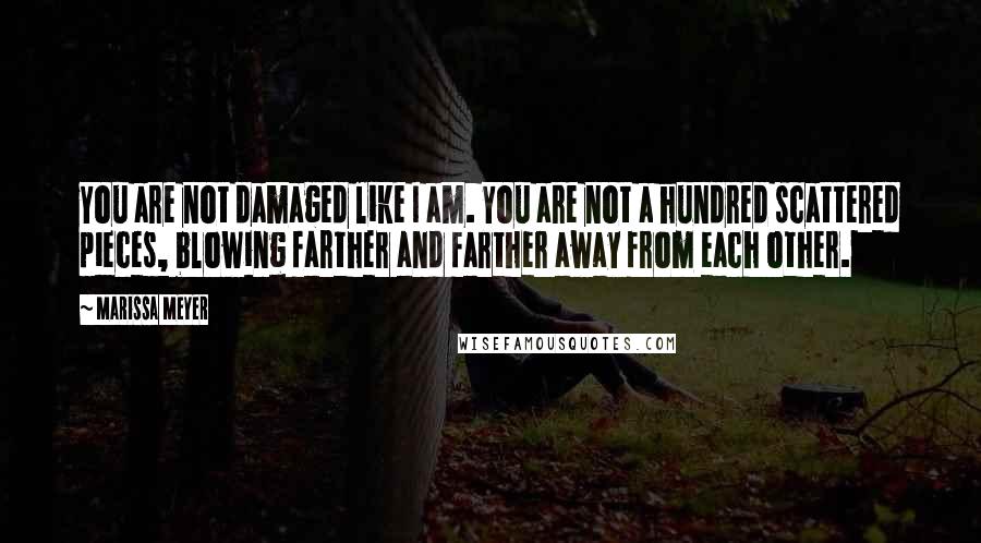 Marissa Meyer Quotes: You are not damaged like I am. You are not a hundred scattered pieces, blowing farther and farther away from each other.