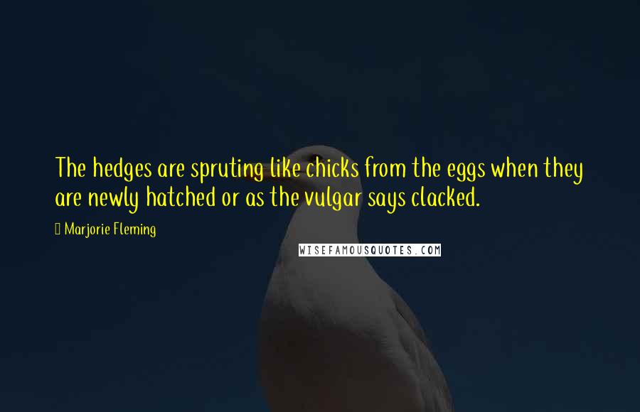 Marjorie Fleming Quotes: The hedges are spruting like chicks from the eggs when they are newly hatched or as the vulgar says clacked.