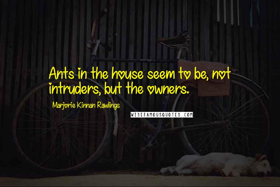 Marjorie Kinnan Rawlings Quotes: Ants in the house seem to be, not intruders, but the owners.