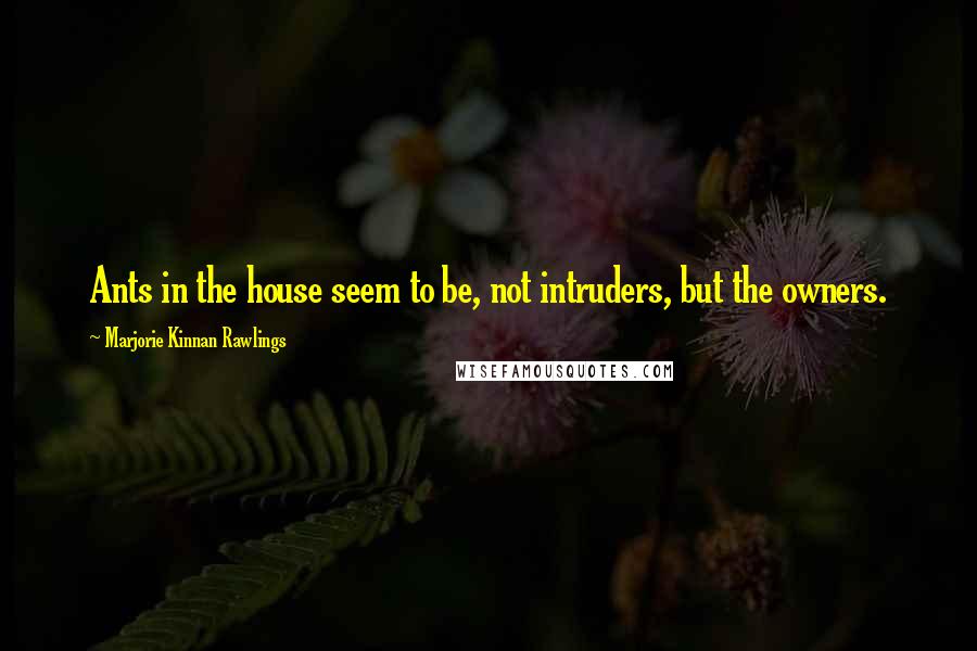 Marjorie Kinnan Rawlings Quotes: Ants in the house seem to be, not intruders, but the owners.