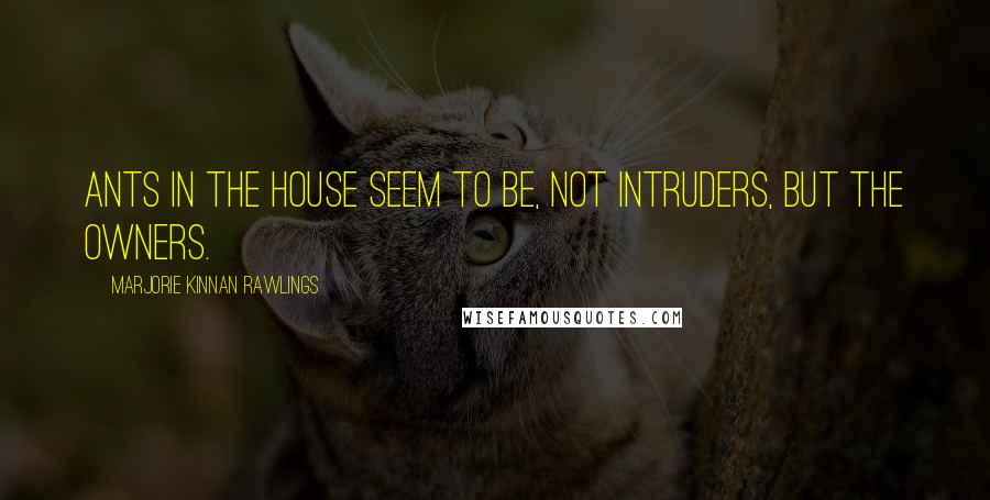 Marjorie Kinnan Rawlings Quotes: Ants in the house seem to be, not intruders, but the owners.