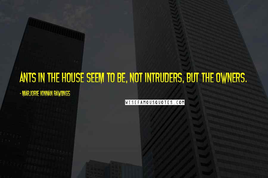 Marjorie Kinnan Rawlings Quotes: Ants in the house seem to be, not intruders, but the owners.