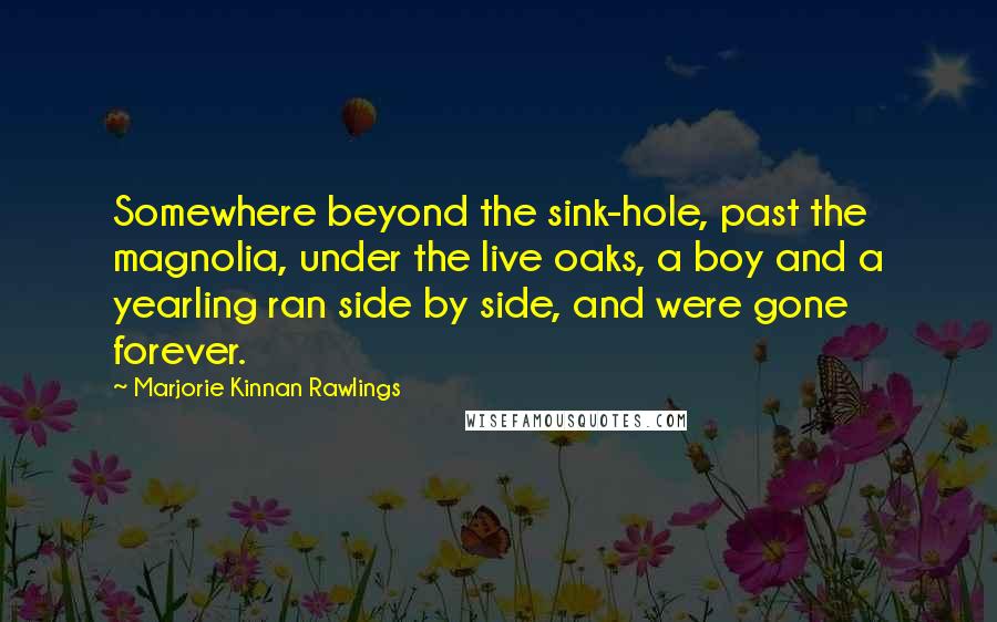 Marjorie Kinnan Rawlings Quotes: Somewhere beyond the sink-hole, past the magnolia, under the live oaks, a boy and a yearling ran side by side, and were gone forever.