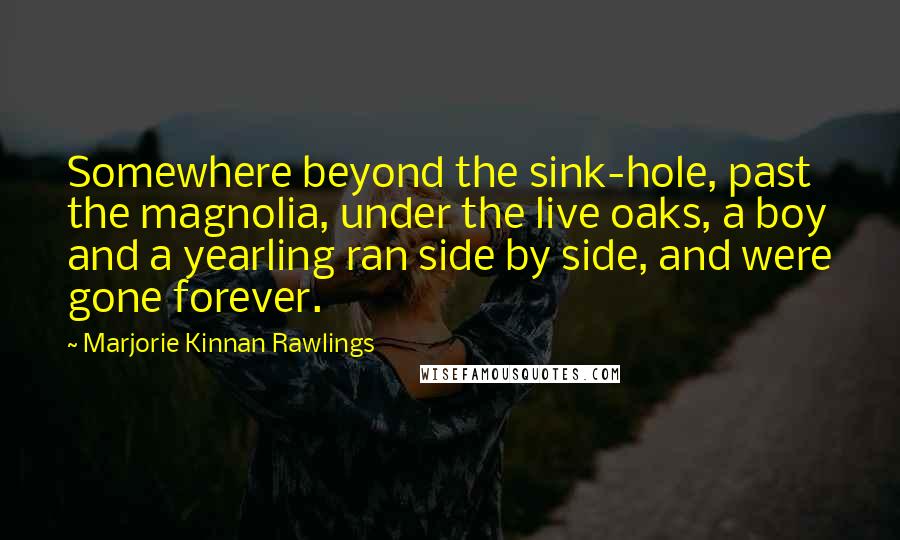 Marjorie Kinnan Rawlings Quotes: Somewhere beyond the sink-hole, past the magnolia, under the live oaks, a boy and a yearling ran side by side, and were gone forever.