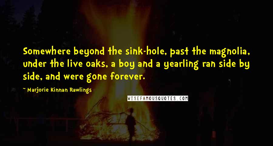 Marjorie Kinnan Rawlings Quotes: Somewhere beyond the sink-hole, past the magnolia, under the live oaks, a boy and a yearling ran side by side, and were gone forever.