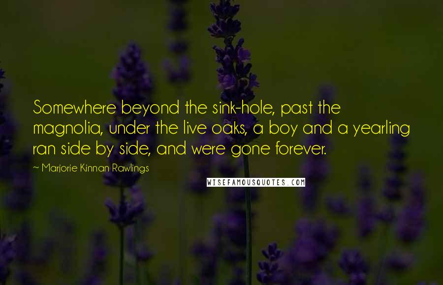 Marjorie Kinnan Rawlings Quotes: Somewhere beyond the sink-hole, past the magnolia, under the live oaks, a boy and a yearling ran side by side, and were gone forever.
