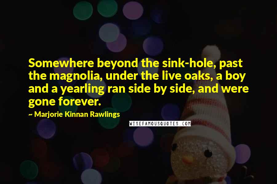 Marjorie Kinnan Rawlings Quotes: Somewhere beyond the sink-hole, past the magnolia, under the live oaks, a boy and a yearling ran side by side, and were gone forever.