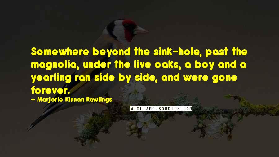 Marjorie Kinnan Rawlings Quotes: Somewhere beyond the sink-hole, past the magnolia, under the live oaks, a boy and a yearling ran side by side, and were gone forever.