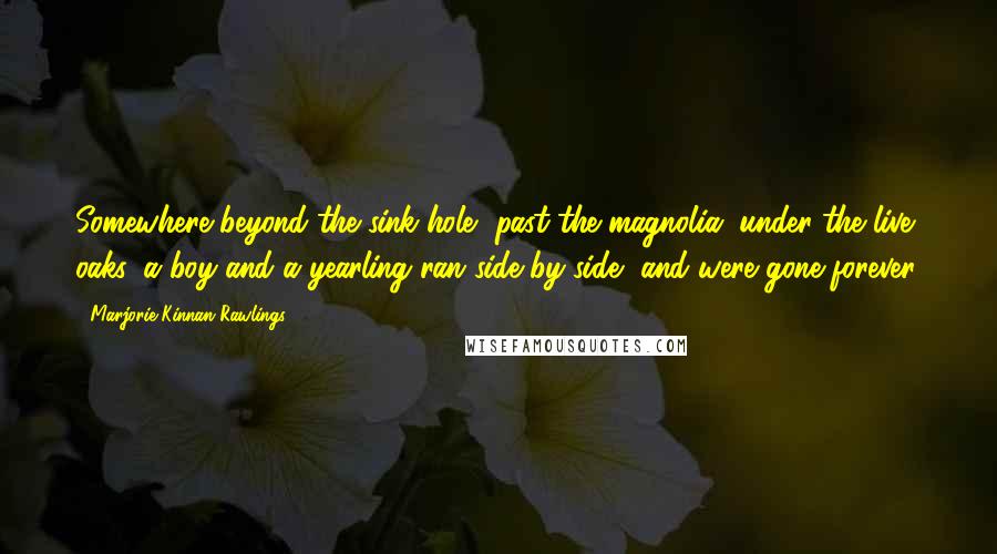 Marjorie Kinnan Rawlings Quotes: Somewhere beyond the sink-hole, past the magnolia, under the live oaks, a boy and a yearling ran side by side, and were gone forever.