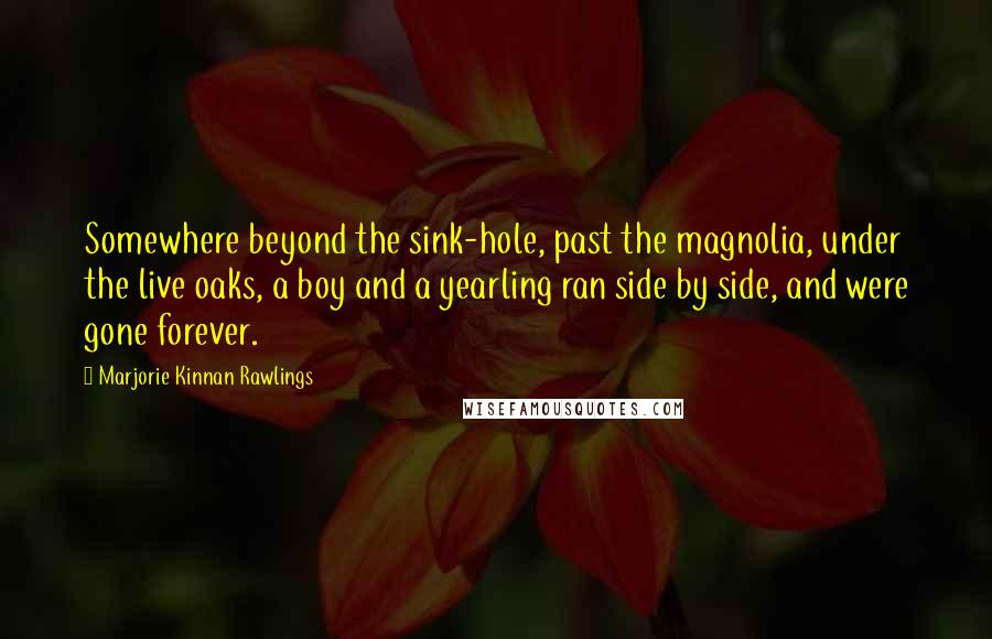 Marjorie Kinnan Rawlings Quotes: Somewhere beyond the sink-hole, past the magnolia, under the live oaks, a boy and a yearling ran side by side, and were gone forever.