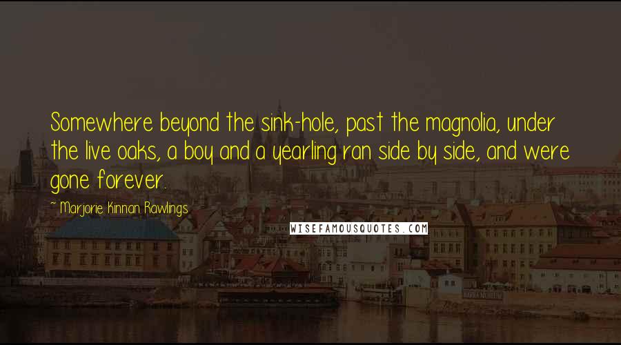 Marjorie Kinnan Rawlings Quotes: Somewhere beyond the sink-hole, past the magnolia, under the live oaks, a boy and a yearling ran side by side, and were gone forever.