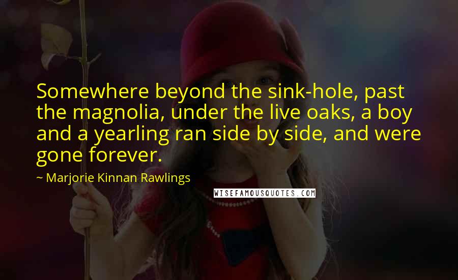 Marjorie Kinnan Rawlings Quotes: Somewhere beyond the sink-hole, past the magnolia, under the live oaks, a boy and a yearling ran side by side, and were gone forever.