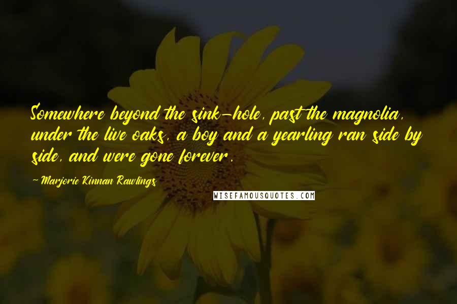 Marjorie Kinnan Rawlings Quotes: Somewhere beyond the sink-hole, past the magnolia, under the live oaks, a boy and a yearling ran side by side, and were gone forever.