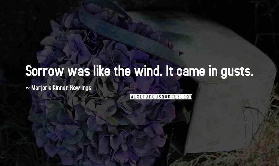 Marjorie Kinnan Rawlings Quotes: Sorrow was like the wind. It came in gusts.