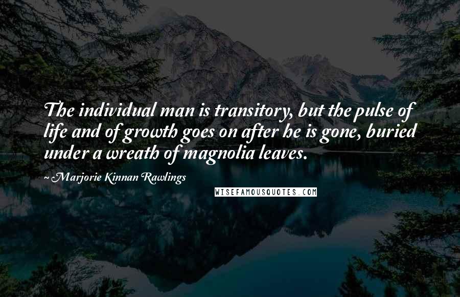 Marjorie Kinnan Rawlings Quotes: The individual man is transitory, but the pulse of life and of growth goes on after he is gone, buried under a wreath of magnolia leaves.