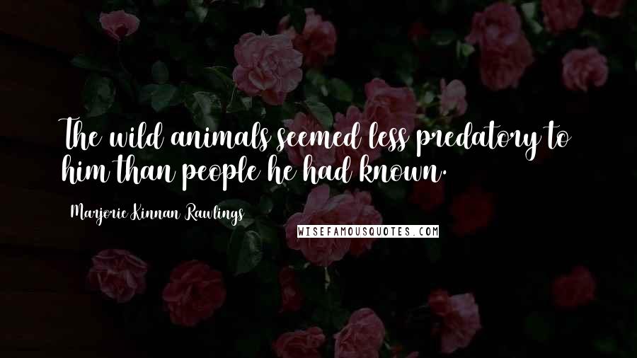 Marjorie Kinnan Rawlings Quotes: The wild animals seemed less predatory to him than people he had known.