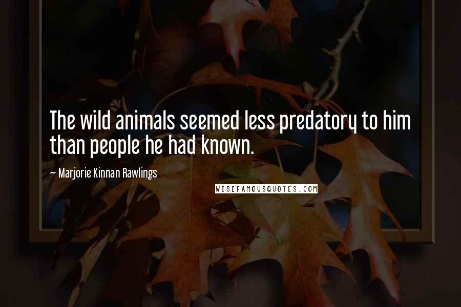 Marjorie Kinnan Rawlings Quotes: The wild animals seemed less predatory to him than people he had known.