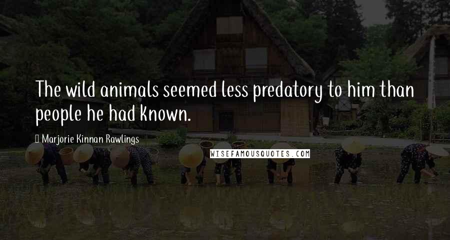 Marjorie Kinnan Rawlings Quotes: The wild animals seemed less predatory to him than people he had known.