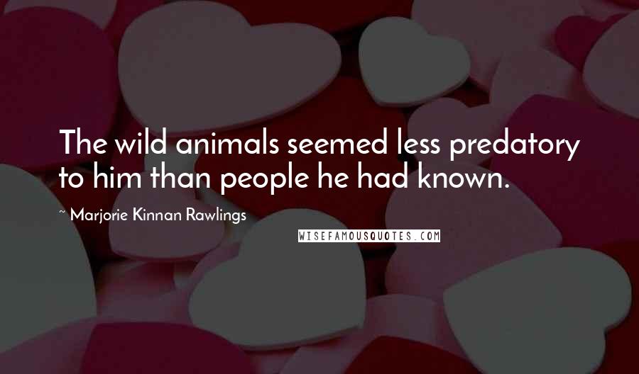 Marjorie Kinnan Rawlings Quotes: The wild animals seemed less predatory to him than people he had known.