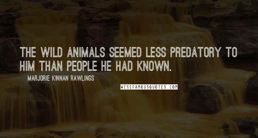 Marjorie Kinnan Rawlings Quotes: The wild animals seemed less predatory to him than people he had known.
