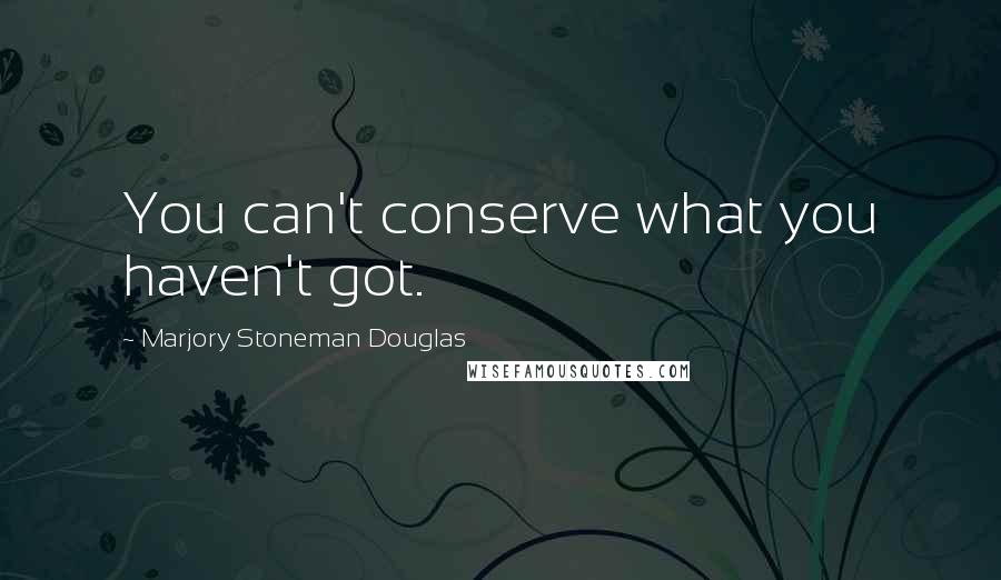 Marjory Stoneman Douglas Quotes: You can't conserve what you haven't got.