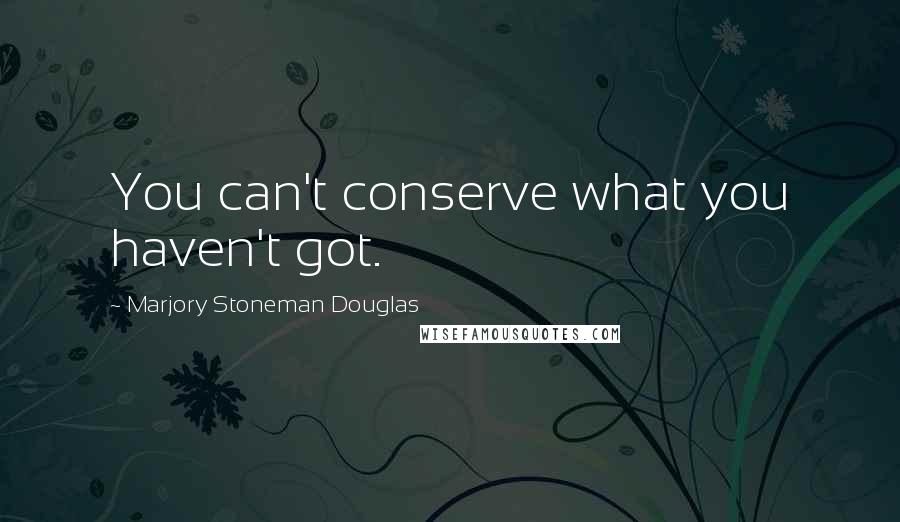 Marjory Stoneman Douglas Quotes: You can't conserve what you haven't got.