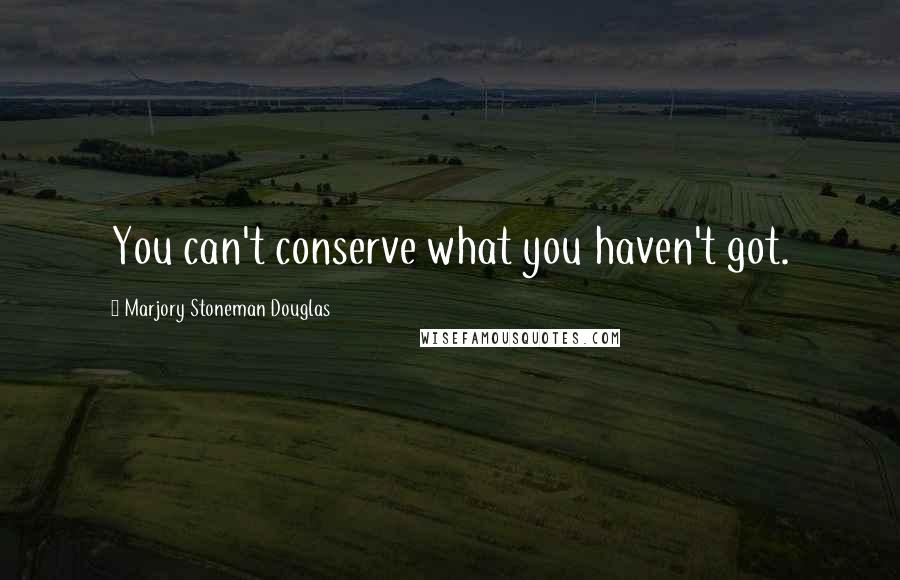 Marjory Stoneman Douglas Quotes: You can't conserve what you haven't got.