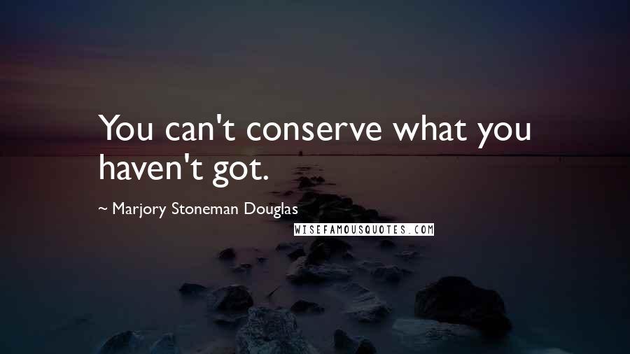 Marjory Stoneman Douglas Quotes: You can't conserve what you haven't got.