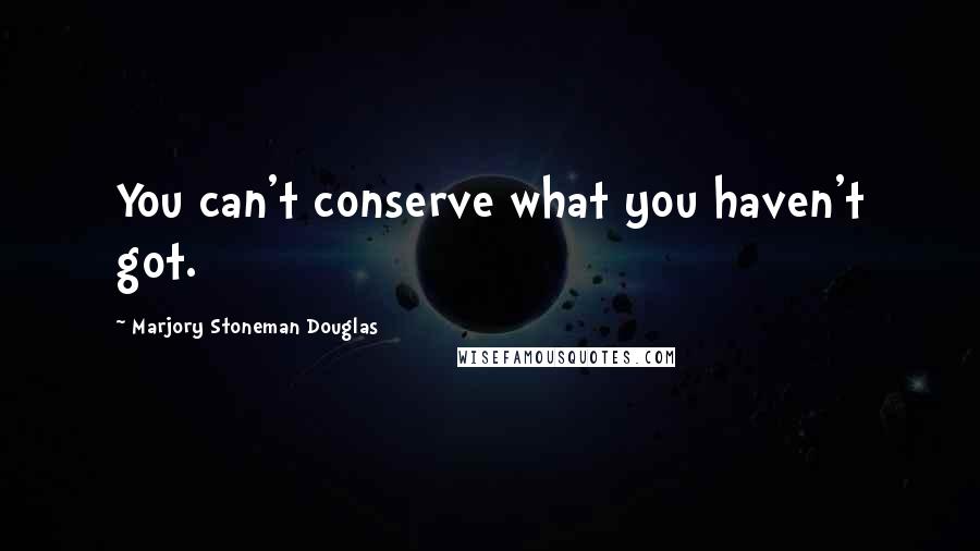 Marjory Stoneman Douglas Quotes: You can't conserve what you haven't got.