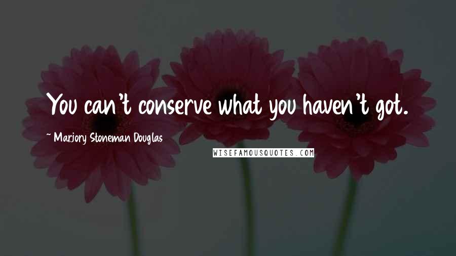 Marjory Stoneman Douglas Quotes: You can't conserve what you haven't got.