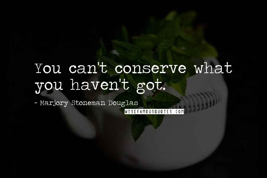 Marjory Stoneman Douglas Quotes: You can't conserve what you haven't got.