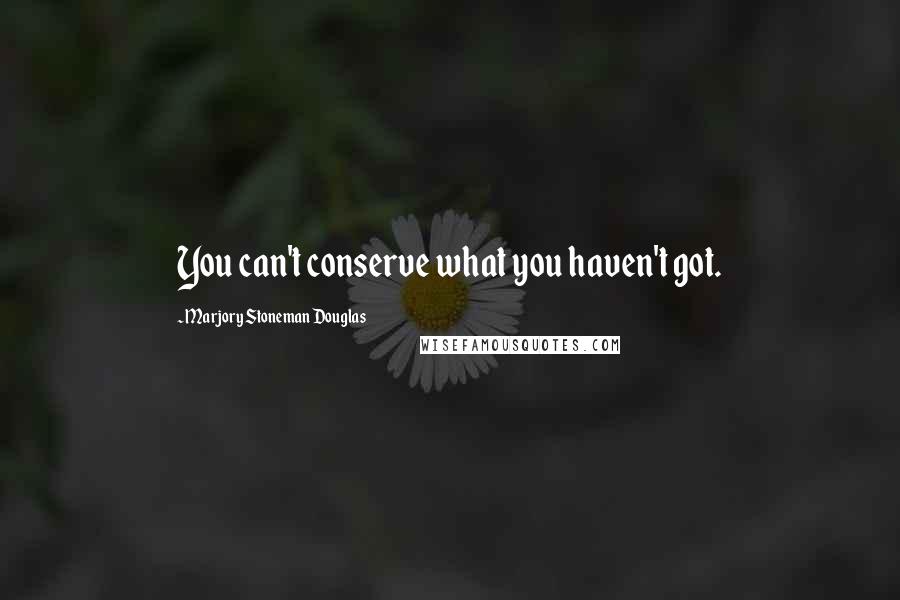 Marjory Stoneman Douglas Quotes: You can't conserve what you haven't got.