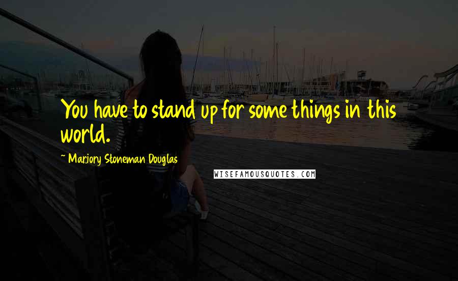 Marjory Stoneman Douglas Quotes: You have to stand up for some things in this world.