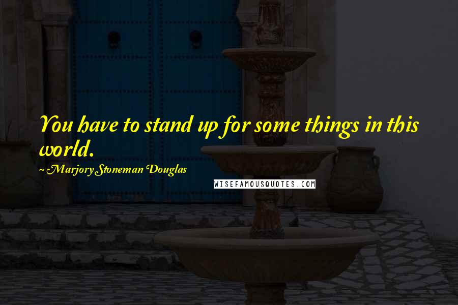 Marjory Stoneman Douglas Quotes: You have to stand up for some things in this world.