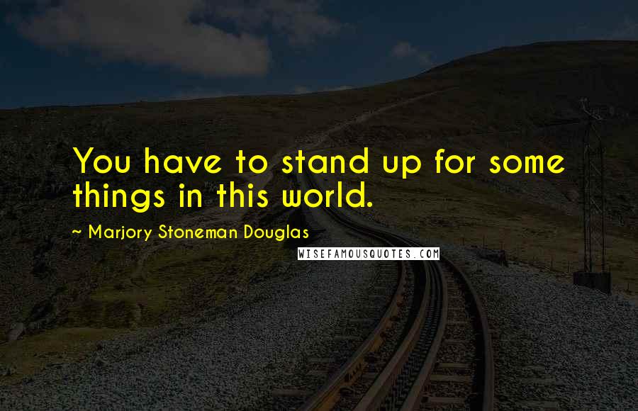 Marjory Stoneman Douglas Quotes: You have to stand up for some things in this world.