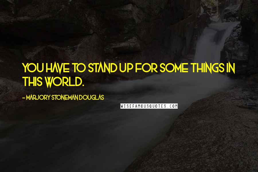 Marjory Stoneman Douglas Quotes: You have to stand up for some things in this world.