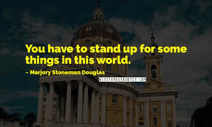 Marjory Stoneman Douglas Quotes: You have to stand up for some things in this world.