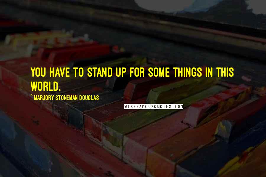 Marjory Stoneman Douglas Quotes: You have to stand up for some things in this world.