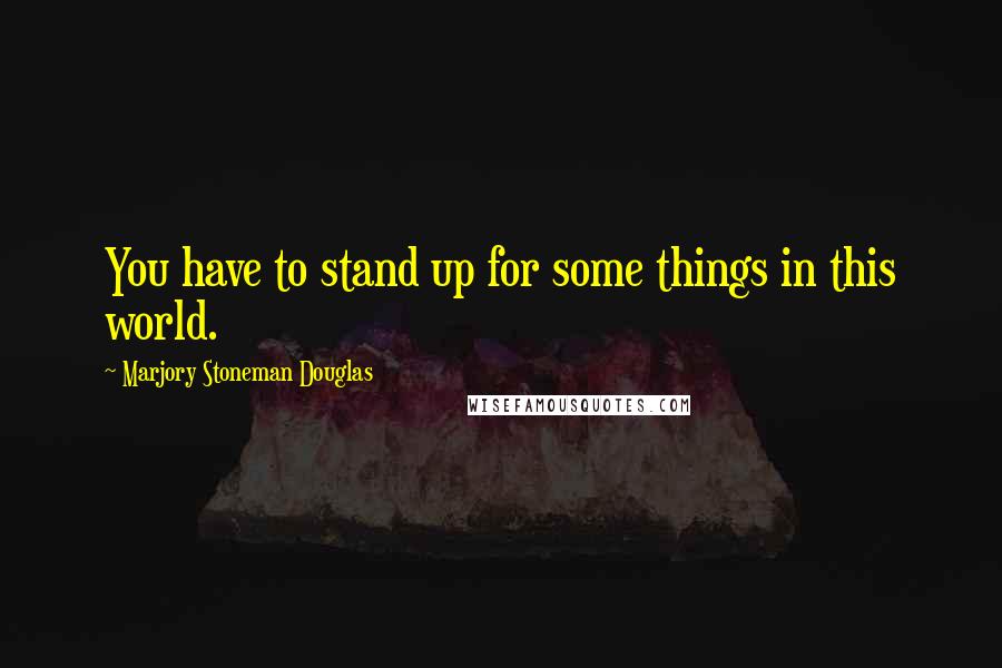 Marjory Stoneman Douglas Quotes: You have to stand up for some things in this world.