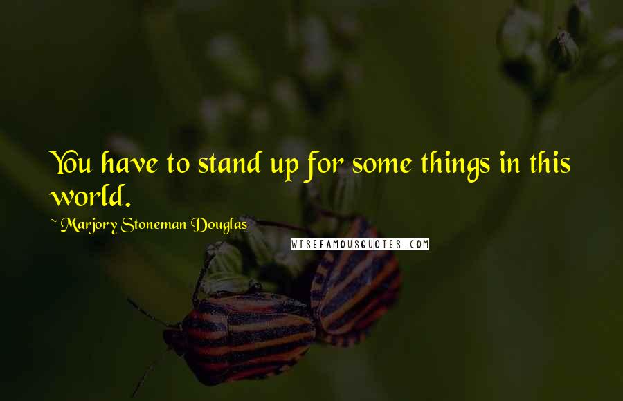 Marjory Stoneman Douglas Quotes: You have to stand up for some things in this world.
