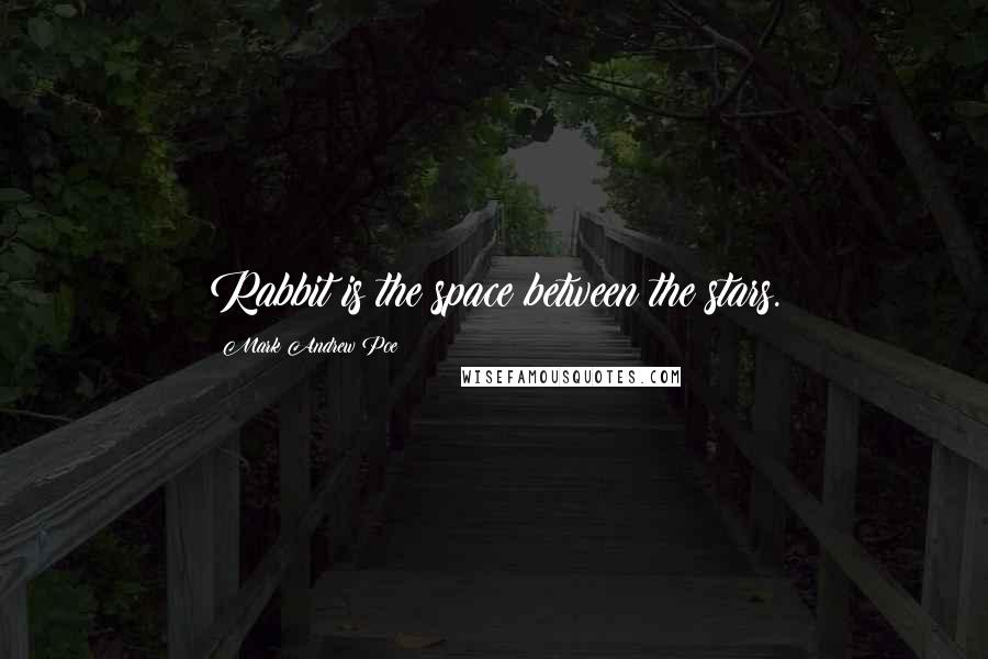 Mark Andrew Poe Quotes: Rabbit is the space between the stars.