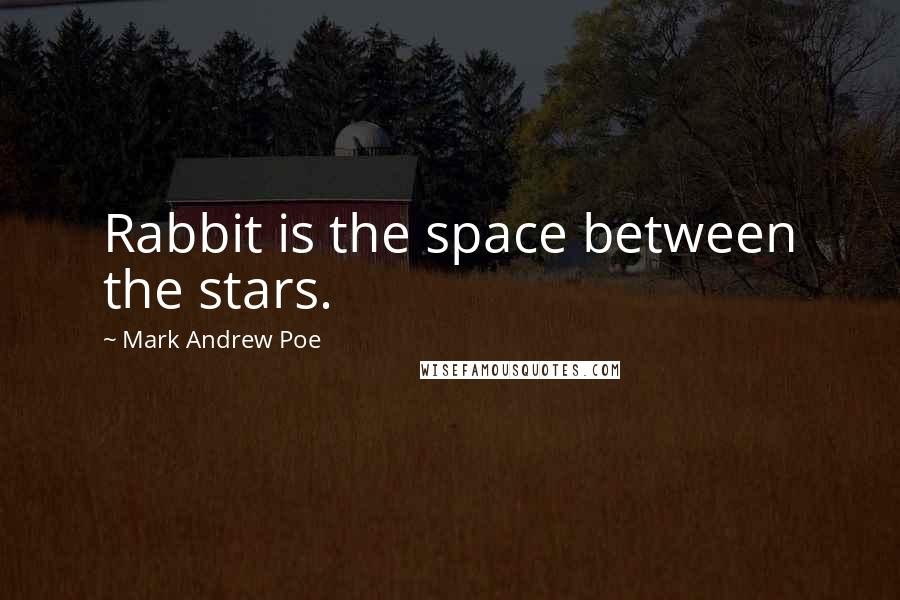 Mark Andrew Poe Quotes: Rabbit is the space between the stars.