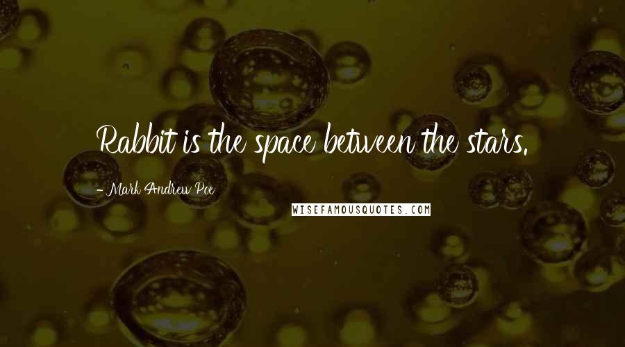 Mark Andrew Poe Quotes: Rabbit is the space between the stars.