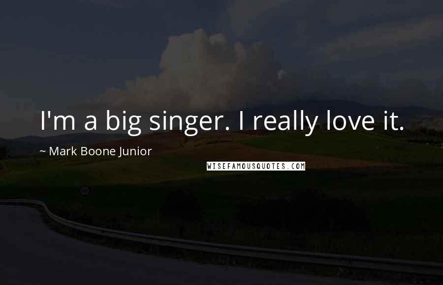 Mark Boone Junior Quotes: I'm a big singer. I really love it.