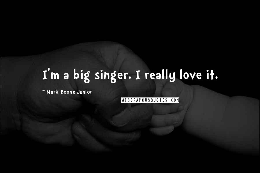 Mark Boone Junior Quotes: I'm a big singer. I really love it.